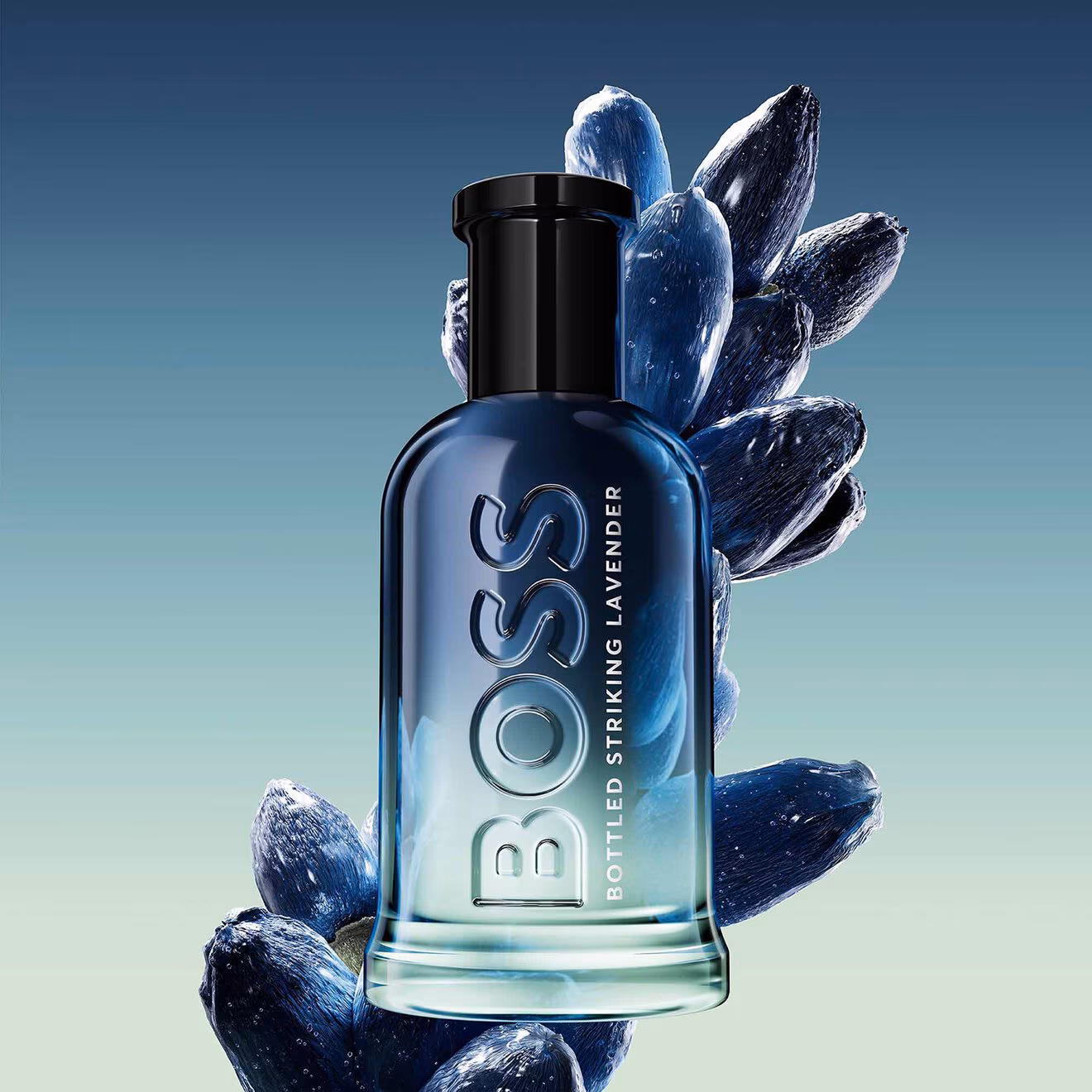عطر بوس الجديد